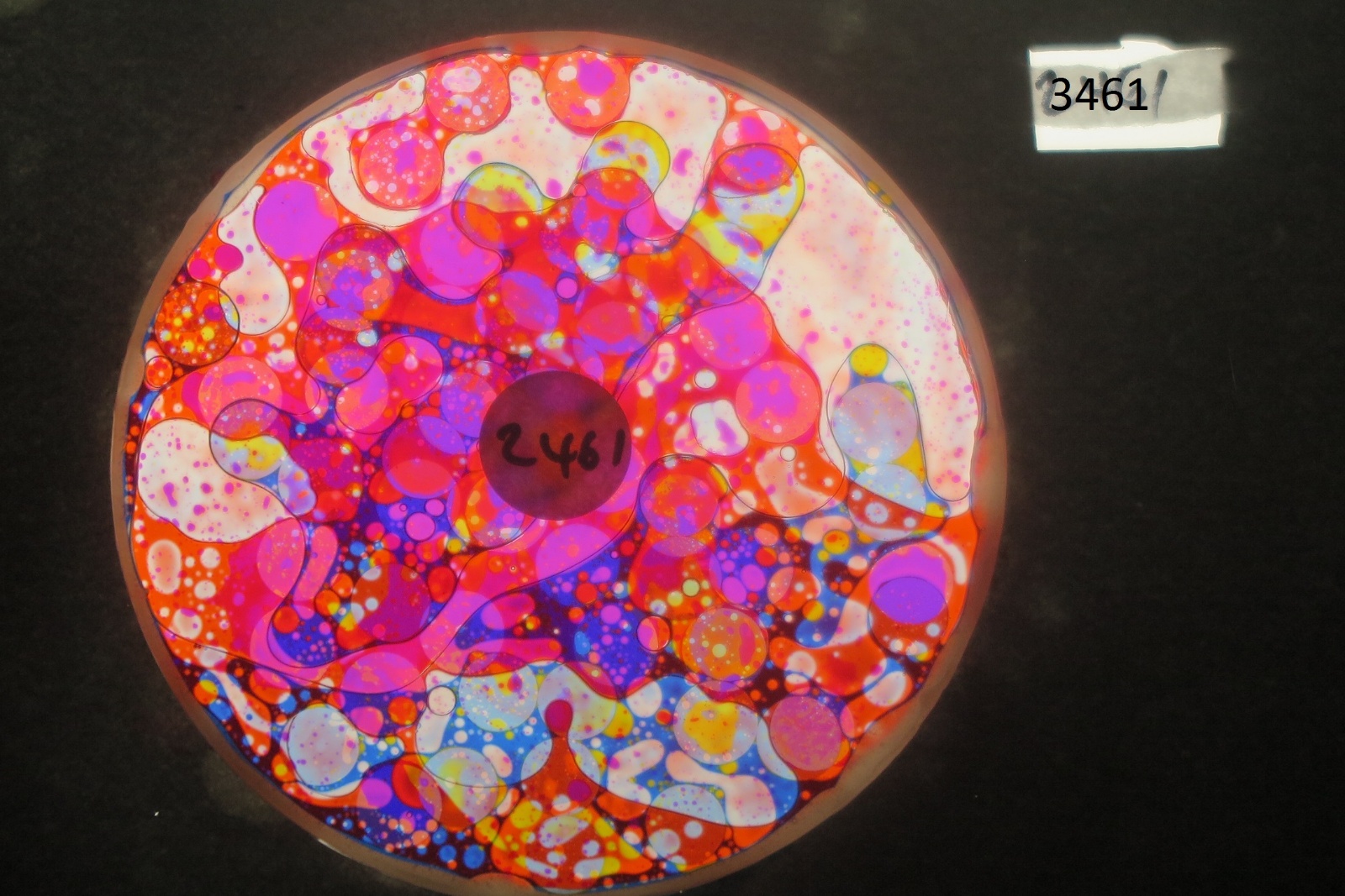 BV3461 bubble vision oil wheel